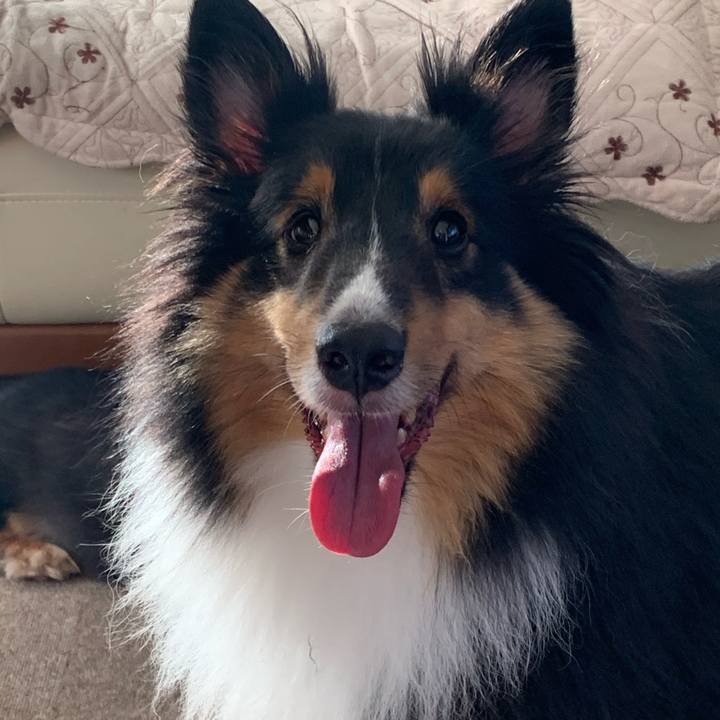 61105b0d c29a 48ef b0f5 06ae113a2ddc 1598564837821