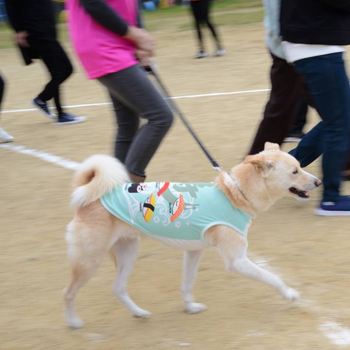 6110a7f9 7430 4761 ab09 e1eefaece245 1540033400636