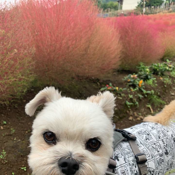 6110b59d c91e 47d7 8b6b 6906e4f2d9bc 1602760998994