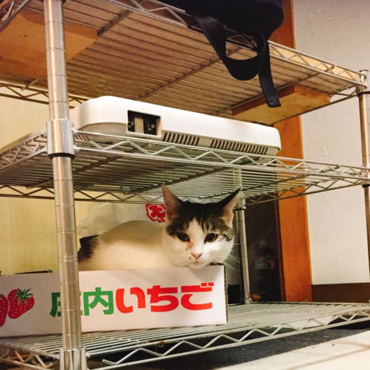 6110cfbe 6710 4903 be79 6985915b14f4 1526646994588