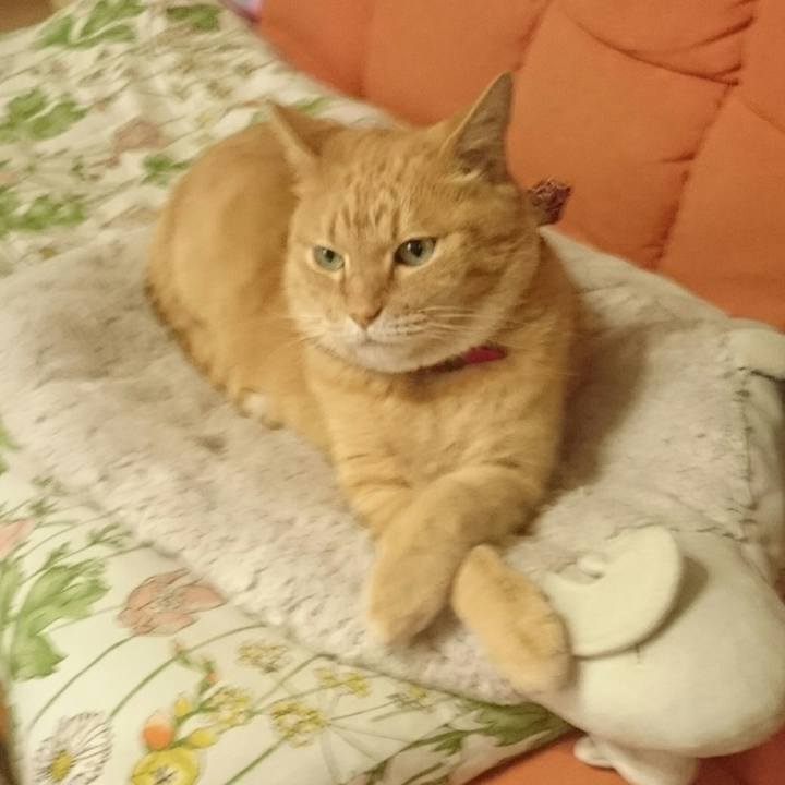 6111261f 7703 4bb1 a8bb 20cb9fa9e308 1527111831788