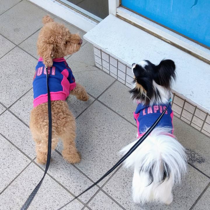 611131f2 5c2c 4916 b7f3 957de90592ba 1618545827666