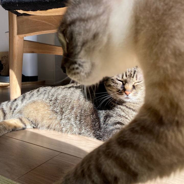 61114fee 8c75 4bfe 8d73 1c35670f799c 1682646989855