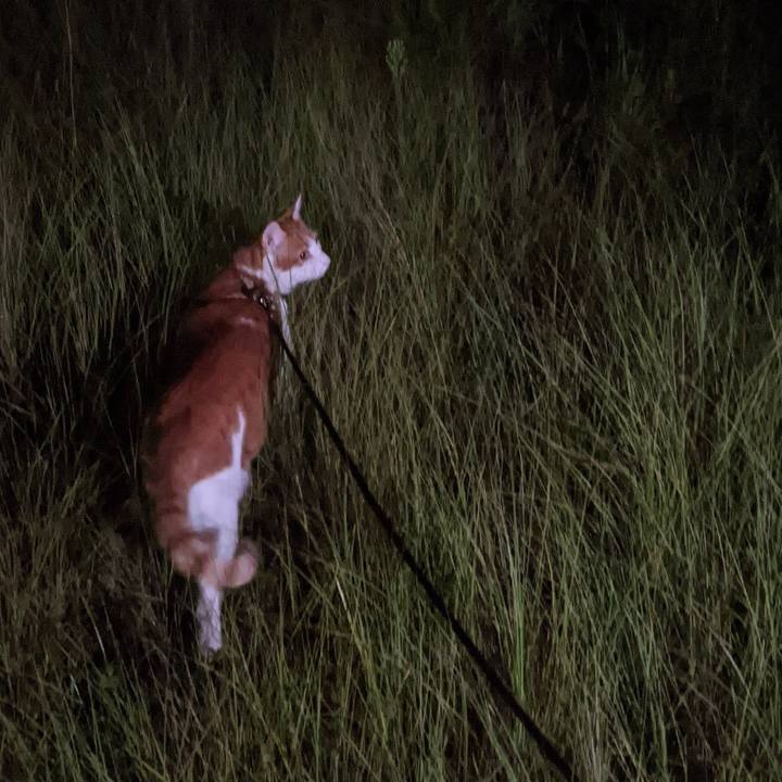 611162df fad8 440b b7b8 500137c3652e 1601448154538