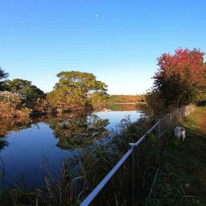 6111863a 1874 4d6e 8d84 dab155972bf8 1604664581373