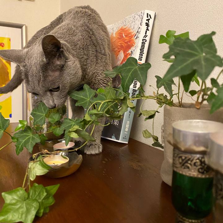 6111c31d 9ec4 462f 8f1a 1e38e456cff6 1612322584730