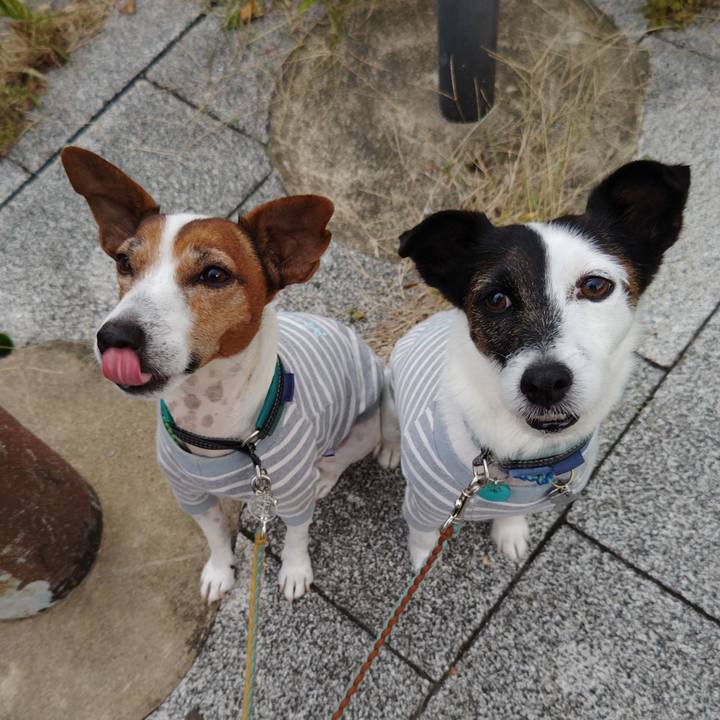 6111d06a b575 419e 8cfe e12594f38a66 1730843109361