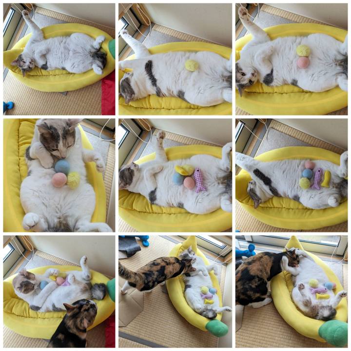 6111d61d 1dca 459e a71c 6e9adcd6b032 1688446331657