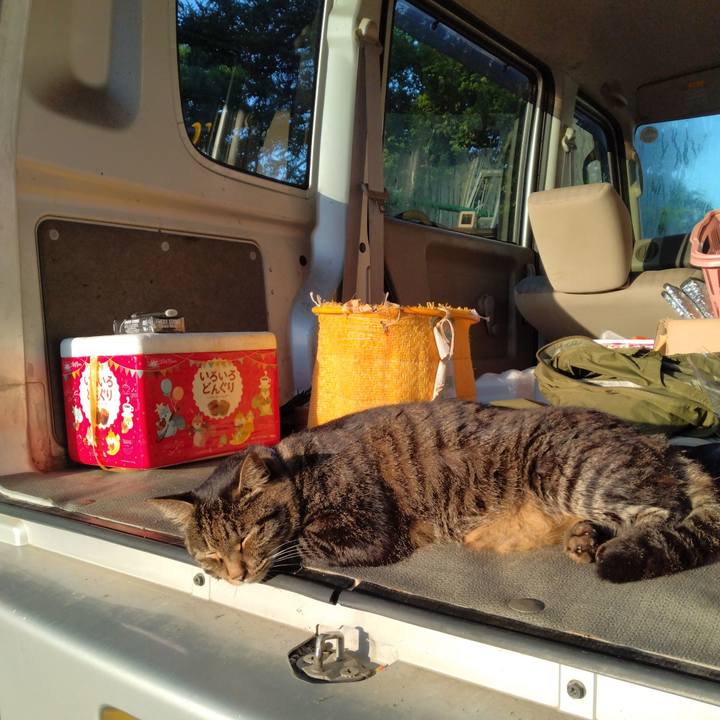 61122cd0 3f8e 46e6 8c19 f07a2caa8353 1726523742990