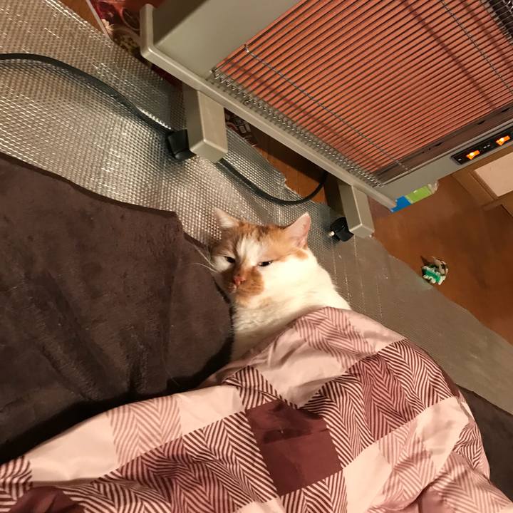 61123edb 4c38 4867 9828 af51663c2fca 1512388159396