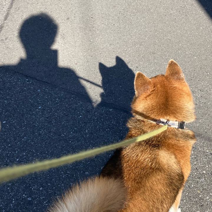 61124e18 27e6 4e54 9ce5 7713b23856ed 1699420682475