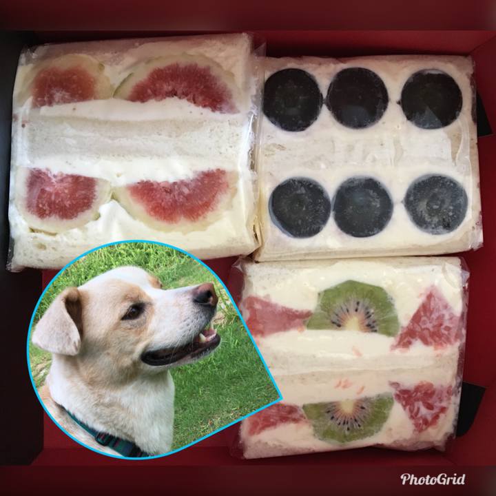 611287ec ae67 4379 b329 357c04020548 1538975913815