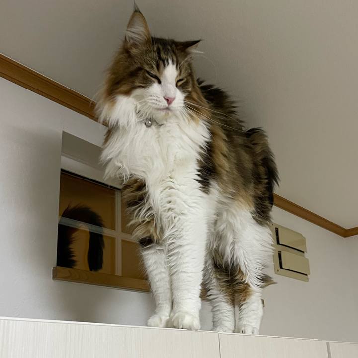 6112bba3 8361 43b3 bfb7 f28096d0e937 1670615017554