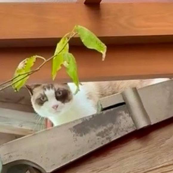 6112c986 8ded 4ddd 89f7 d439ac37bb75 1756605882178