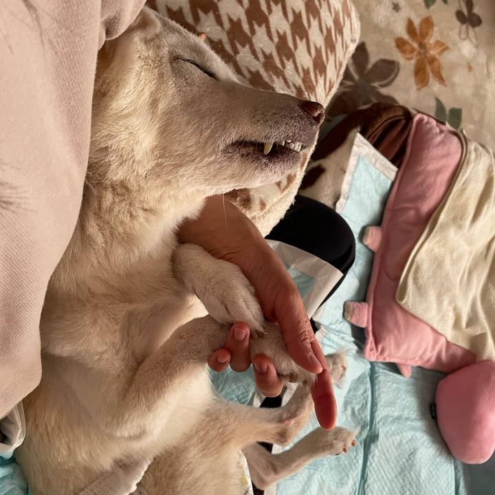 6112e6c0 c52a 4ca1 8214 6fe0cbecaea1 1677977641369