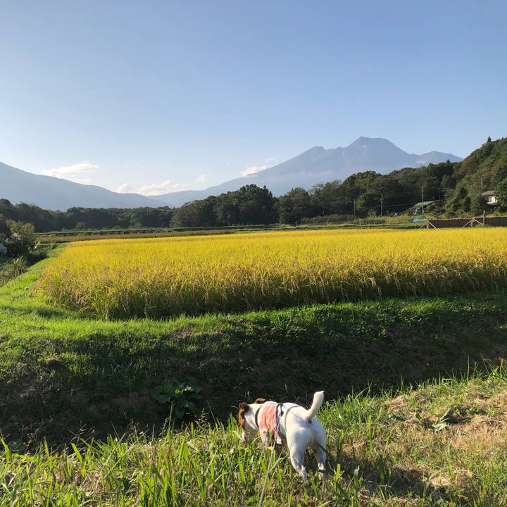 6112e701 d2dd 468c 8351 ddbec175ca12 1601630733357