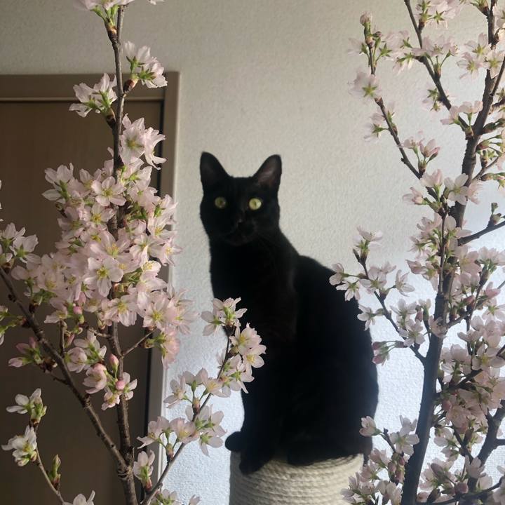 6112ebf0 8244 40c1 8b9e 60af2a5a3923 1613951394223