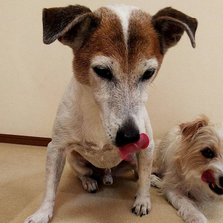 6112ffc0 1c55 4783 948d 9b4066156bc9 1565403693962