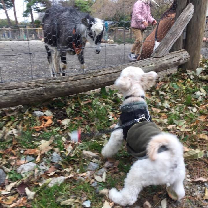 61133bb3 eaf2 4a83 ae10 625e65581d97 1510227336917