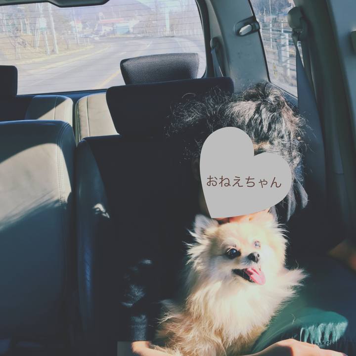 611364ed 5fe1 404f 8016 0260c9e741ed 1522667117909