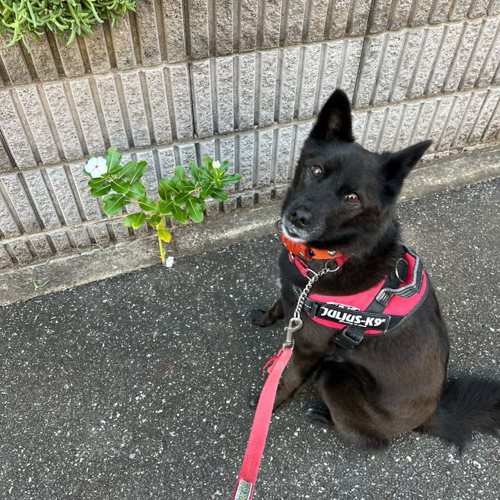 61136ae2 1dda 4cf6 a520 a5dcfb6e5f81 1667019580740