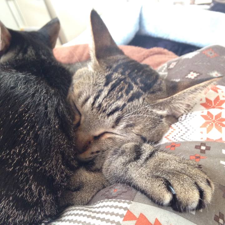 6113b151 b012 4400 9dab 5a17113f59b1 1508736717239