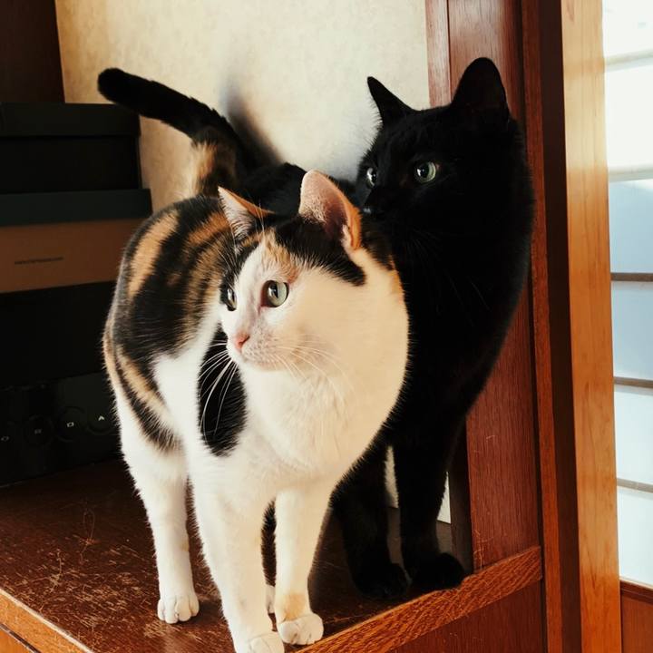 61143834 70f7 41f6 be54 331423d7de63 1555037906927