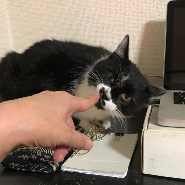61143844 1b1d 4ede 93d1 fab3a4d25927 1687574195549
