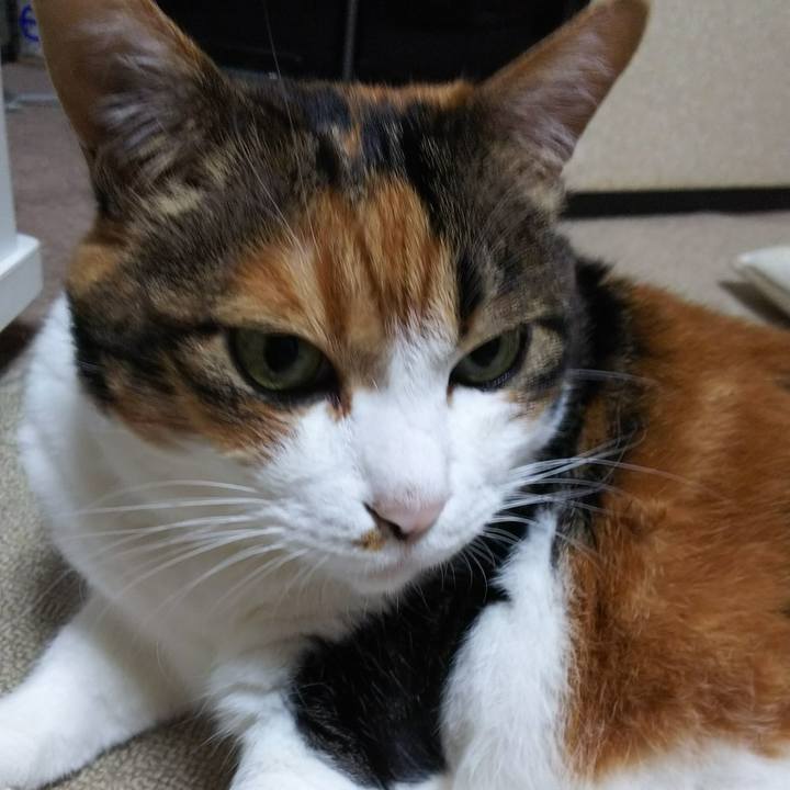 61143b2b 2ea4 44ca be8e d8f3d722eb8e 1538965869383