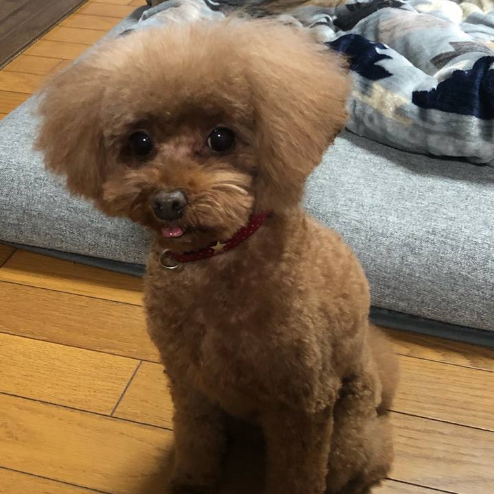 61145cf4 f7c0 43c4 80e6 a748b1cfe6ca 1608372631974