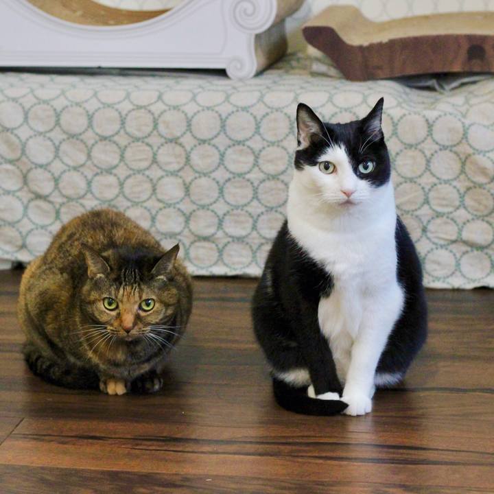 611461af 3de9 4df5 9dc8 39826d8939f4 1670195733482