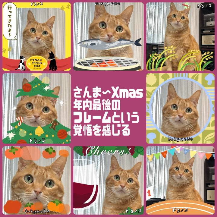 6114776c 65cf 44d0 bc0e 448e705ca980 1761271663159