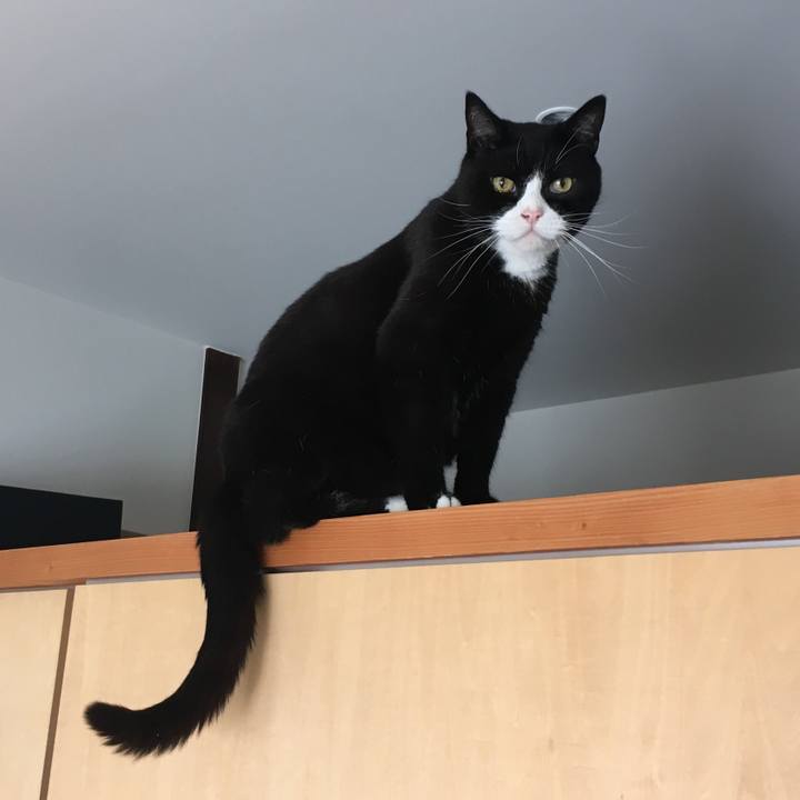 6114959b c922 4cf0 a3a0 e8e036973303 1569833695975