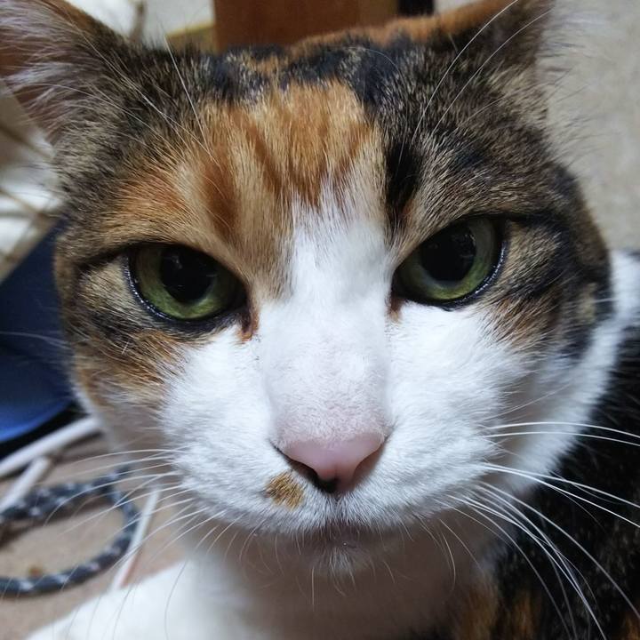 6114c03a f1a9 4047 833a 346c8fb69563 1553556911349