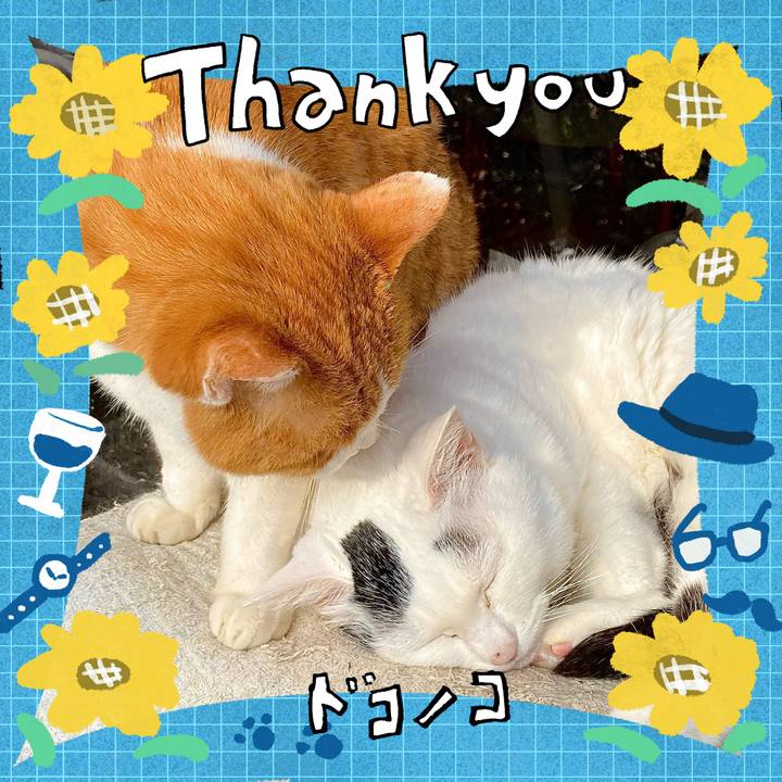 61154a5e 463a 4771 9182 964f079a0b87 1717640950527