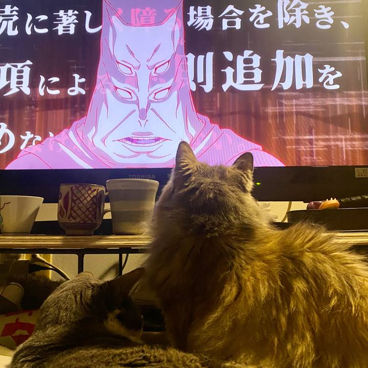 611569d4 b511 4754 9f09 77851a0454d0 1768570691315