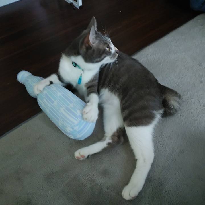 61157bcf 1863 4dfb a778 61f5f193e8df 1593561077507