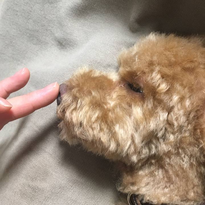 61157c91 e7eb 485b a3c8 ebee4caff77e 1520389162712