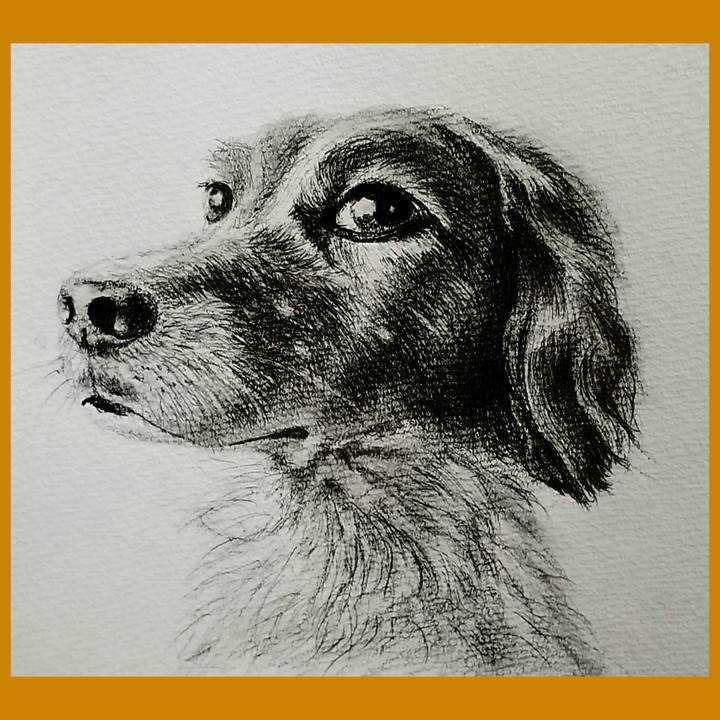 6115a30e 6e09 424c 8095 d947972bb76a 1674385099365