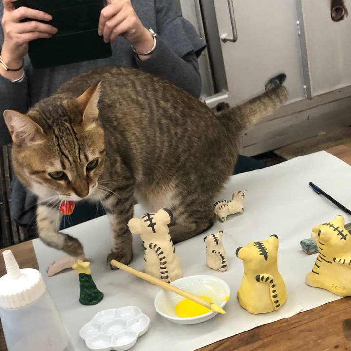 6115b048 c7b8 481a a512 4cb46b928453 1639230698879