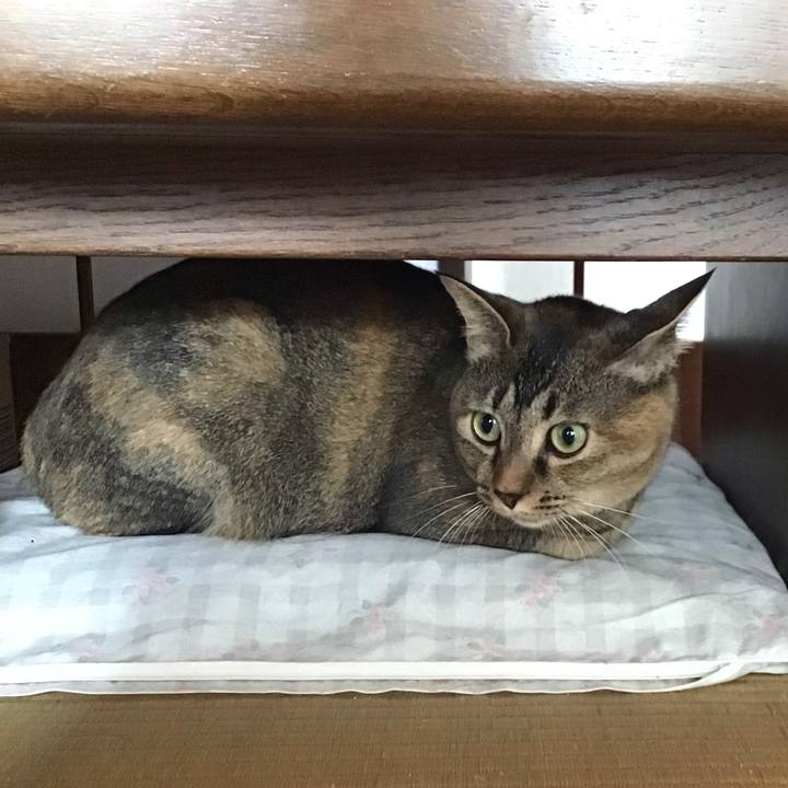 6115d3a1 82ba 456b bc98 26159a609af2 1628394968736