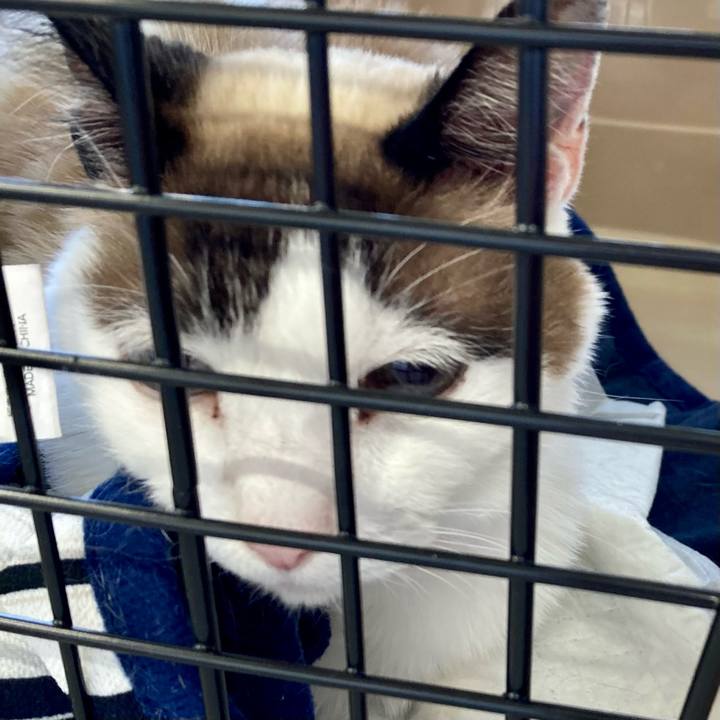 6115d3f3 403b 4d0a 80b9 da840f0ca64f 1677046132202