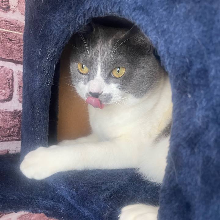 6115dded 2044 4ca0 bddf 53bd605131e1 1712644879273