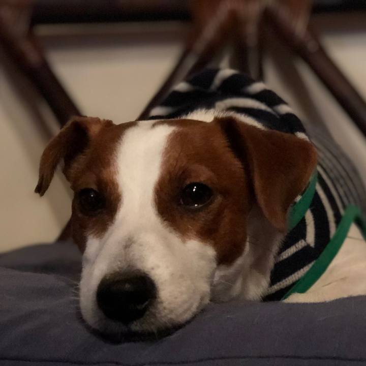 61161187 6b04 4d64 83ec 16d582623043 1589011481675