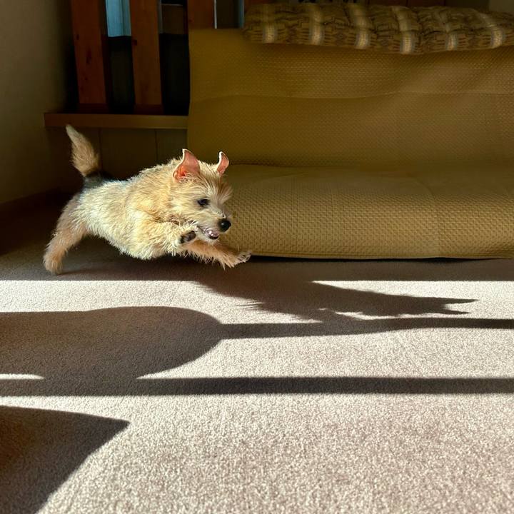 61164d8b 9f8b 4129 bc6e ddad44fdf085 1703774466426