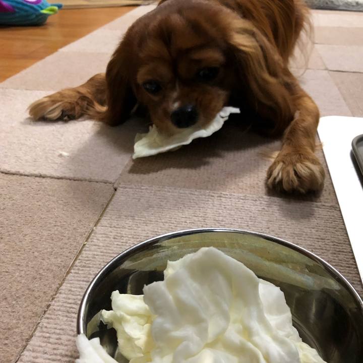 611658a0 664d 402d af13 2219c8b71dd8 1583964808996