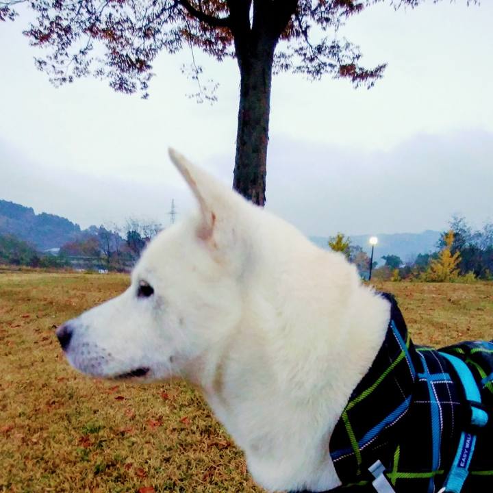 61168634 5e5f 492a 8056 7085d05e1a31 1541541531088