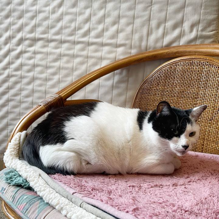 611687a1 b1a2 4395 9102 8e7cafe4f2a0 1767825942849