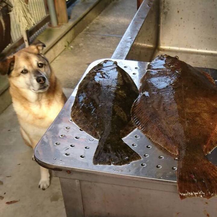 61168cd1 5798 4cc3 b020 8f023b87a4f7 1585227262962