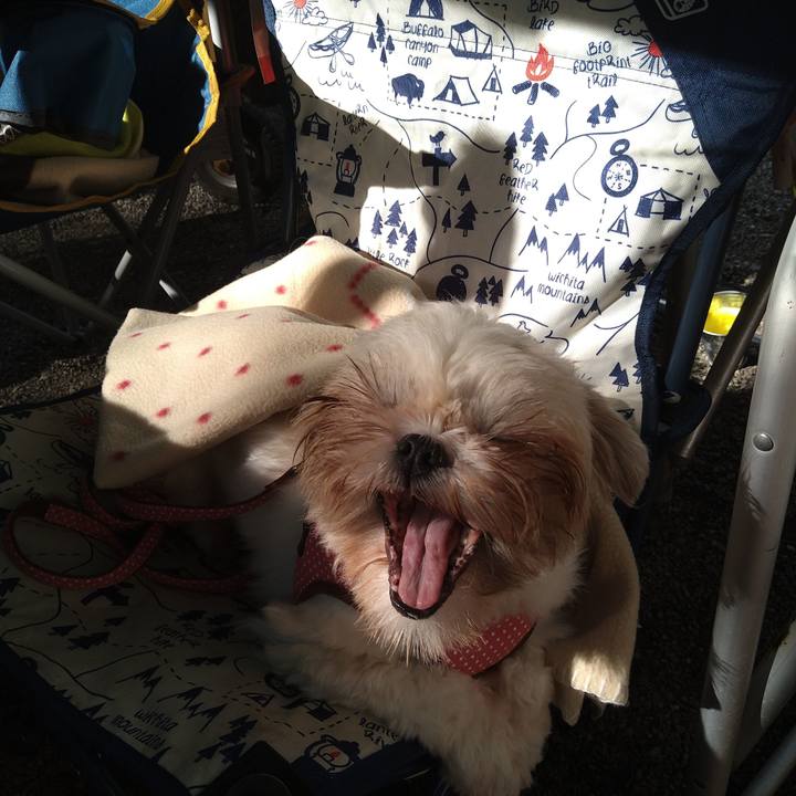 61169b11 2948 4e43 95b7 e47f8a73a623 1600644079422